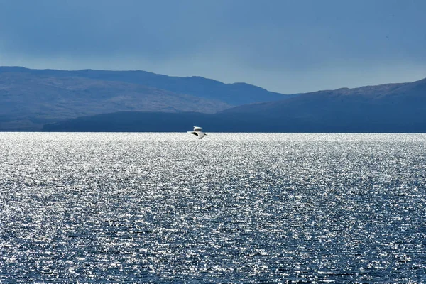 Lac Dans Paysage Des Highlands Écossais Ciel Bleu Nuages Eau — Photo