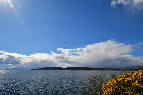 Lago Paisaje Escocia Highlands Cielo Azul Nubes Agua Espino Amarillo —  Fotos de Stock