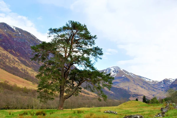 Paesaggio Della Scozia Highlands Con Cielo Blu Nuvole Natura Selvaggia — Foto Stock