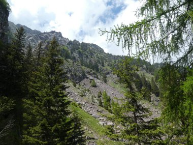 Rock Panorama manzara mavi bulutlar gökyüzü ağaçları orman yeşil çayır çimen ile Güney Tirol İtalya Avrupa'da yüksek dağların Zirvesi 
