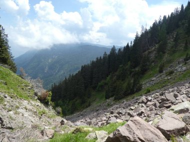 Rock Panorama Manzara tyrol İtalya Avrupa bulutlar mavi gökyüzü orman ağaçları yeşil çim çayır ile yüksek dağların Zirvesi