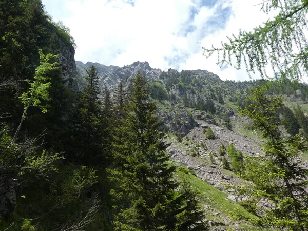 山顶岩石全景风景的高山在南部蒂罗尔意大利欧洲与云蓝天空树森林草甸绿色草 — 图库照片