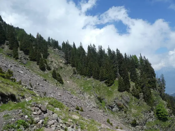 Rock Panorama Manzara Tyrol Talya Avrupa Bulutlar Mavi Gökyüzü Orman — Stok fotoğraf