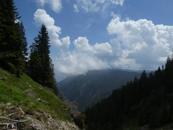 Rock Panorama Manzara Tyrol Talya Avrupa Bulutlar Mavi Gökyüzü Orman — Stok fotoğraf