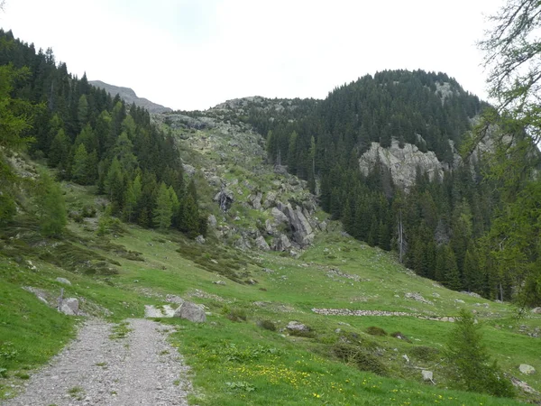 Cume Rocha Panorama Paisagem Das Montanhas Sul Tirol Itália Europa — Fotografia de Stock