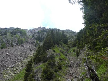 zirve rock panorama manzara yüksek dağları Güney Tirol İtalya'nın Avrupa güneş ışığı orman ağaçları