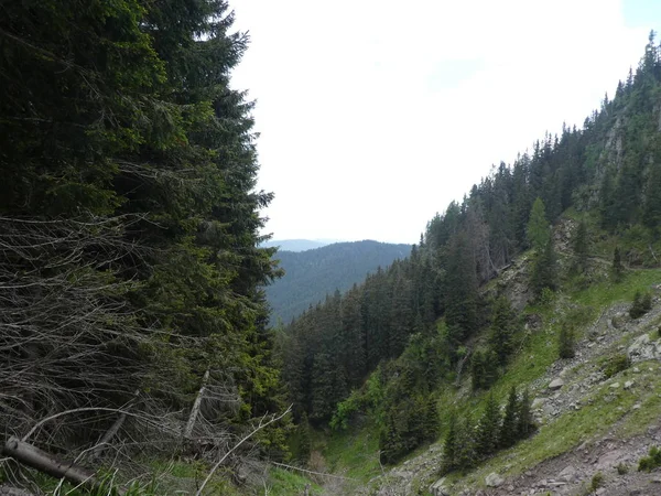 Cima Roccia Panorama Paesaggio Delle Alte Montagne Alto Adige Italia — Foto Stock