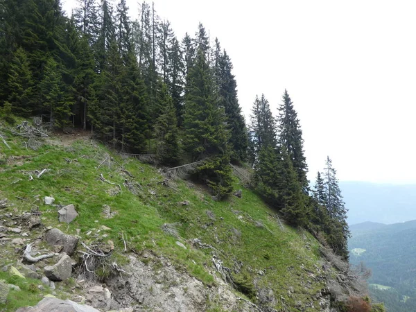 Szczycie Skały Krajobraz Panorama Gór Wysokich Południowym Tyrolu Włochy Drzew — Zdjęcie stockowe