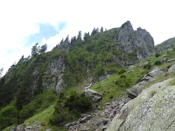 Gipfel Felsenpanorama Landschaft Des Hochgebirges Südtirol Italien Europa Sonnenlicht Waldbäume — Stockfoto