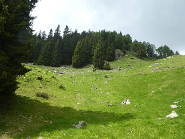 Cumbre Panorama Rocoso Paisaje Las Altas Montañas Tirol Del Sur —  Fotos de Stock