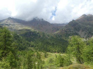 zirve rock panorama manzara yüksek dağları Güney Tirol İtalya'nın kötü hava orman ağaçları Avrupa bulutlar gökyüzü