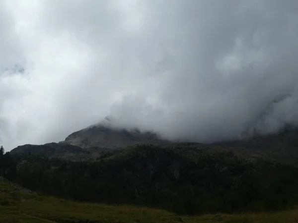 山顶岩石全景风景的高山在南部蒂罗尔欧洲云云天空恶劣天气森林树 — 图库照片
