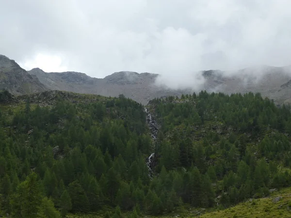 山顶岩石全景风景的高山在南部蒂罗尔欧洲云云天空恶劣天气森林树 — 图库照片