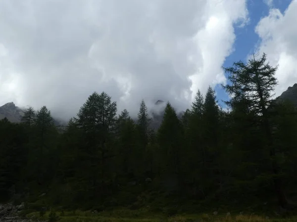 Sommet Rocher Panorama Paysage Des Hautes Montagnes Dans Tyrol Sud — Photo