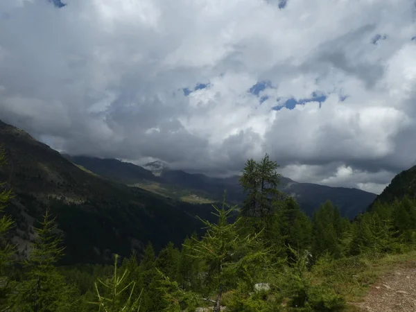 山顶岩石全景风景的高山在南部蒂罗尔欧洲云云天空恶劣天气森林树 — 图库照片