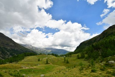 Rock Panorama Manzara yüksek zirvesi tyrol İtalya Avrupa dağlar gökyüzü bulutlar vahşi doğa yeşil çim çayır