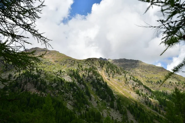 Sommet Rocher Panorama Paysage Des Hautes Montagnes Tyrol Sud Italie — Photo