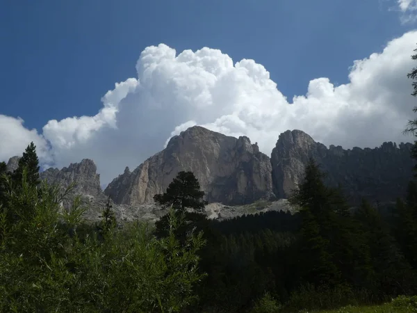Rock Panorama Landsape Zirvesi Dağları Nın Güney Tirol Talya Orman — Stok fotoğraf