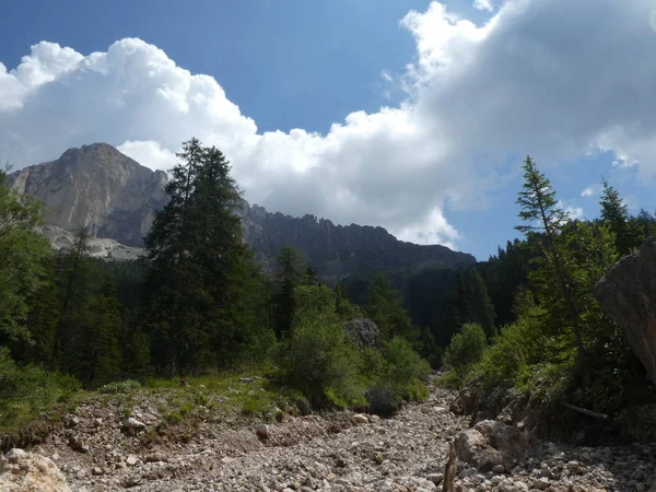 山顶岩石全景土地的山脉在南蒂罗尔欧洲云云天空森林树木草甸 免版税图库照片