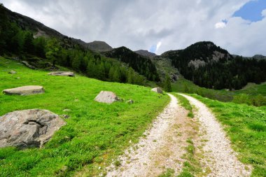 zirve rock panorama manzara Dağları'nın Güney Tirol İtalya Avrupa gökyüzü bulutlar vahşi doğa ağaçlar yeşil çim orman 