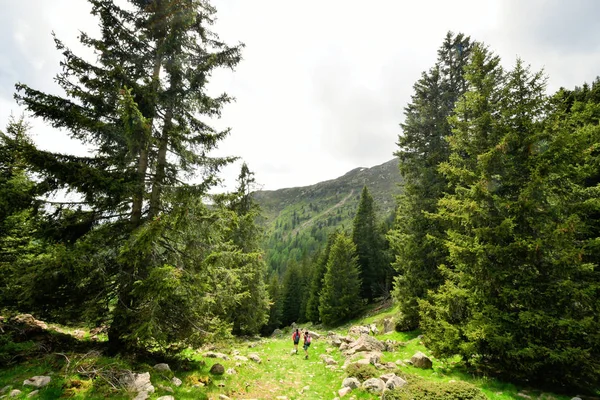 Cimeira Rock Panorama Paisagem Das Montanhas Sul Tirol Itália Europa — Fotografia de Stock