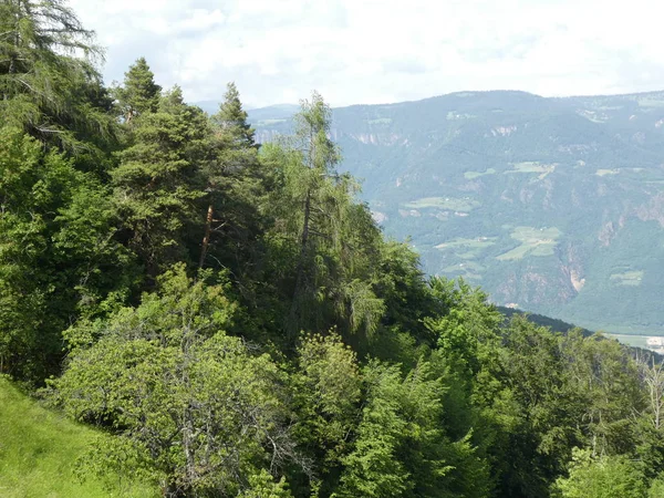 Opoka Panorama Pejzaż Szczyt Góry Południowym Tyrolu Włochy Europy Niebo — Zdjęcie stockowe