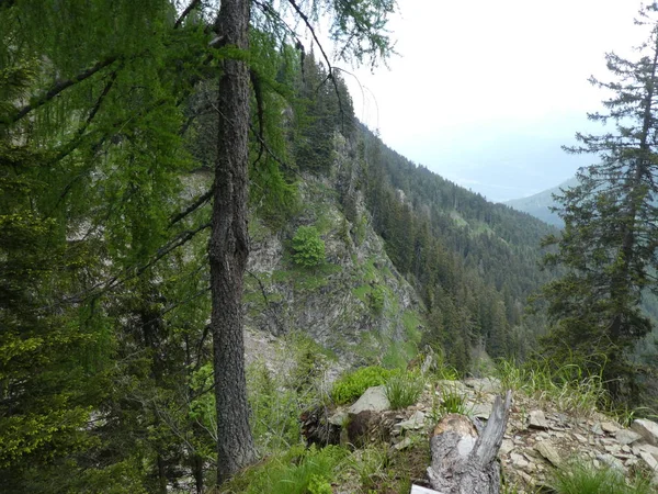 Cumbre Panorama Rocoso Paisaje Las Montañas Tirol Del Sur Italia — Foto de Stock