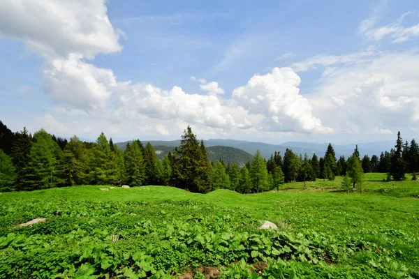 Cume Rock Panorama Paisagem Das Montanhas Sul Tirol Itália Europa — Fotografia de Stock