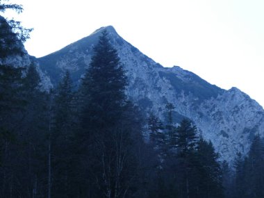 sis mavi gökyüzü ile kışın rock Panorama Manzara Avusturya dağların Zirvesi