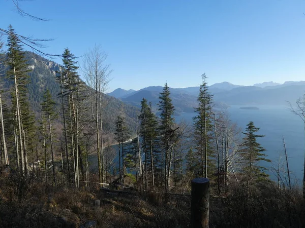 山顶岩石山全景风景在奥地利在冬天与雾蓝色天空 — 图库照片