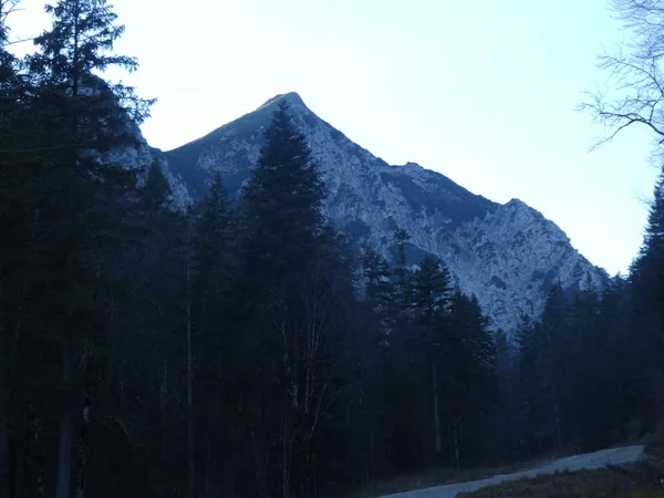 Cima Roccia Panorama Paesaggio Delle Montagne Austria Inverno Con Nebbia — Foto Stock