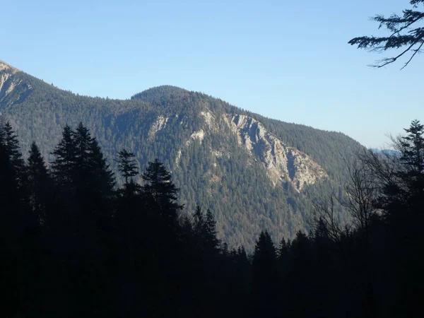 Gipfelfelsen Panoramalandschaft Der Berge Österreich Winter Mit Nebelblauem Himmel — Stockfoto