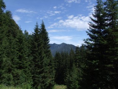 zirve rock panorama manzara yüksek dağlar tyrol İtalya Avrupa bulutlar vahşi doğa gökyüzü