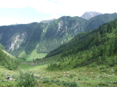 Rock Panorama Manzara Avusturya Avrupa dağların Zirvesi