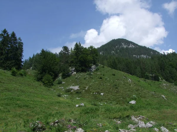 Sommet Rocher Panorama Paysage Des Montagnes Autriche Europe — Photo