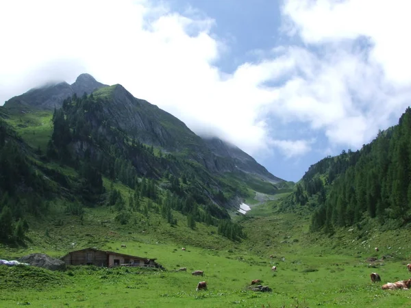 Cimeira Rocha Panorama Paisagem Das Montanhas Áustria Europa — Fotografia de Stock