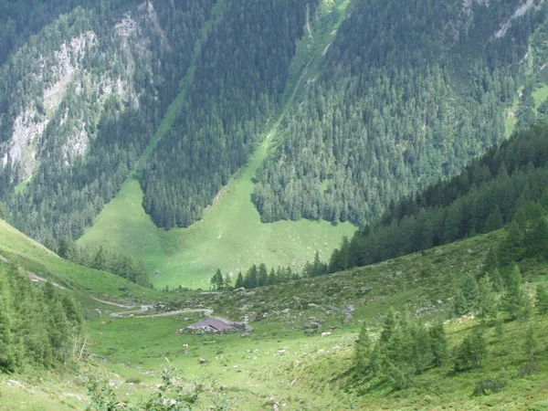 Summitu Skalní Panorama Krajiny Hor Rakousku Evropy — Stock fotografie