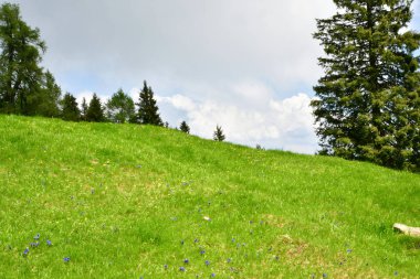 zirve rock panorama manzara yüksek mounains Güney Tirol İtalya Avrupa stonefield Kanyon kar bulutlar gökyüzü