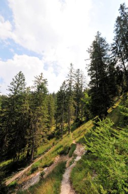 Rock Panorama Manzara tyrol İtalya Avrupa yüksek dağların Zirvesi stonefield Kanyon vahşi doğa