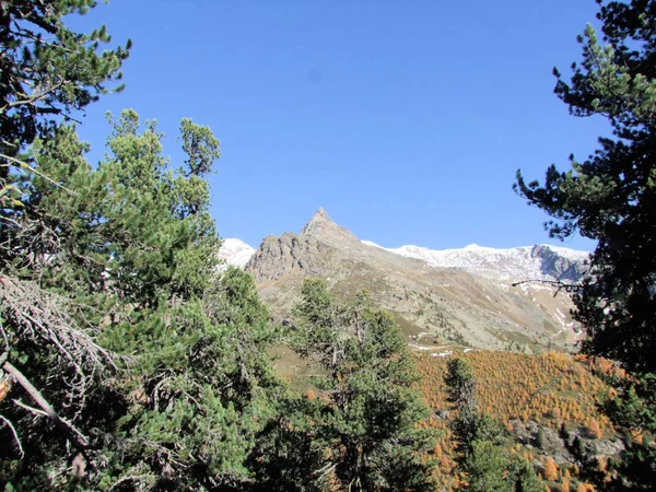 Zirve Rock Panorama Manzara Yüksek Mounains Güney Tirol Talya Avrupa — Stok fotoğraf