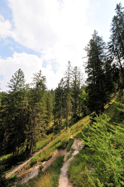 Rock Panorama Manzara tyrol İtalya Avrupa yüksek dağların Zirvesi stonefield Kanyon vahşi doğa