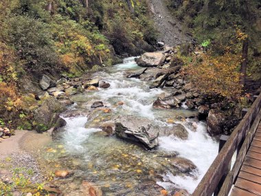 south tyrol İtalya Avrupa'nın dağlarda vahşi akışı taş taş vahşi doğa
