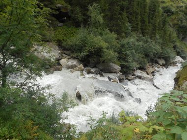 south tyrol İtalya Avrupa'nın dağlarda vahşi akışı taş taş vahşi doğa