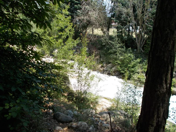 Wilder Bach Den Bergen Von Südtirol Italien Europa Steine Felsen — Stockfoto