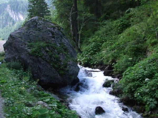 Ruisseau Sauvage Dans Les Montagnes Italie — Photo