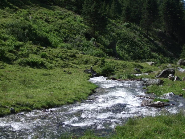 Ruisseau Sauvage Dans Les Montagnes Italie — Photo