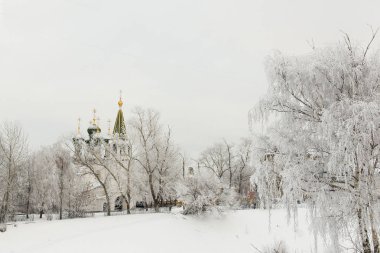 Beyaz kilise karla kaplı ağaçlar arasında duruyor. Kış. Kilise ile kış manzarası