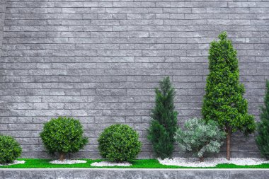 Bazı çiçekler ve güzel tesviye ve taşlı ön bahçesinde çalılar kesilmiş.