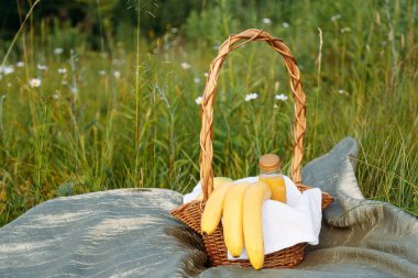 Yeşil çim üzerinde Hasır sepet, yaz günü park dışında piknik
