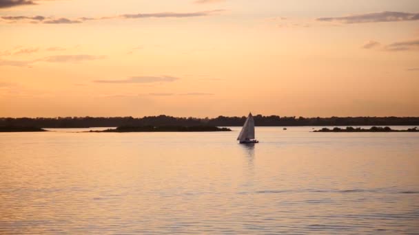 Barco Vela Mar Pôr Sol Belo Pôr Sol Rio Belo — Vídeo de Stock